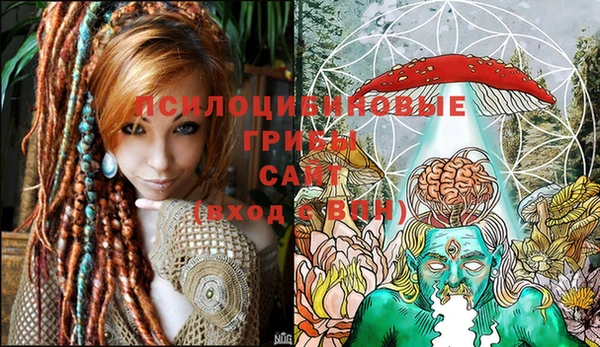 ГАЛЛЮЦИНОГЕННЫЕ ГРИБЫ Абдулино