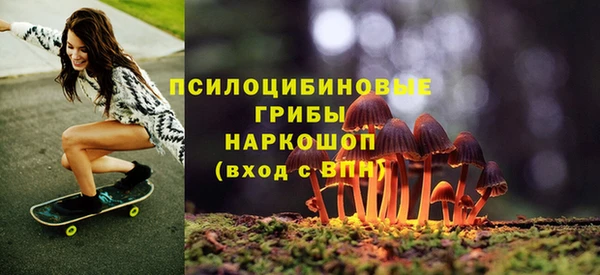 ПСИЛОЦИБИНОВЫЕ ГРИБЫ Абинск