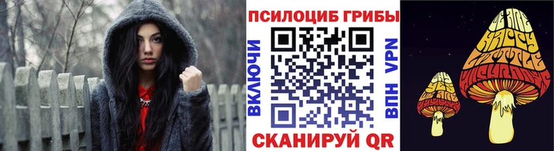 Псилоцибиновые грибы Psilocybe  купить  цена  OMG ТОР  Агрыз 