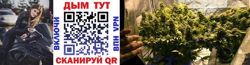 Бошки марихуана White Widow Агрыз